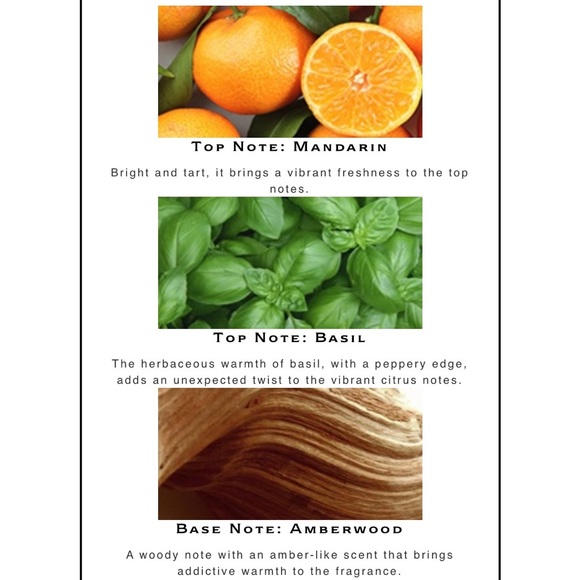 🚫 NOT FOR SALE 🚫 - Picture 5 of 8